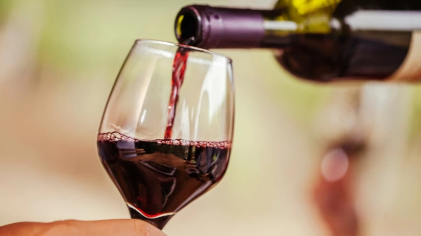 SAUVIGNON