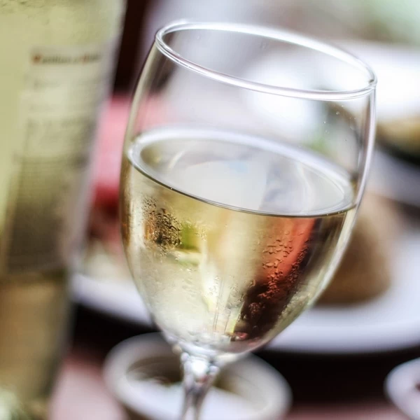 SAUVIGNON