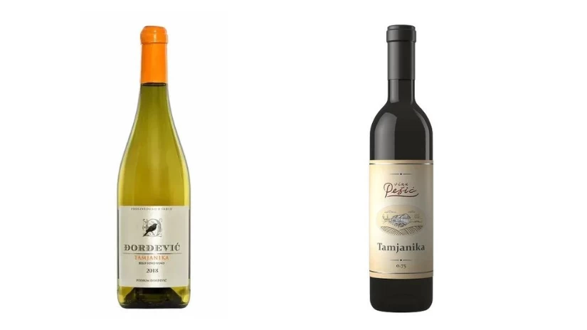 SAUVIGNON