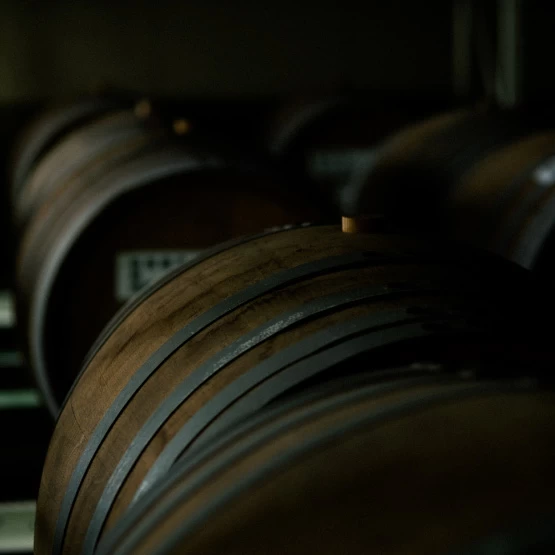 SAUVIGNON