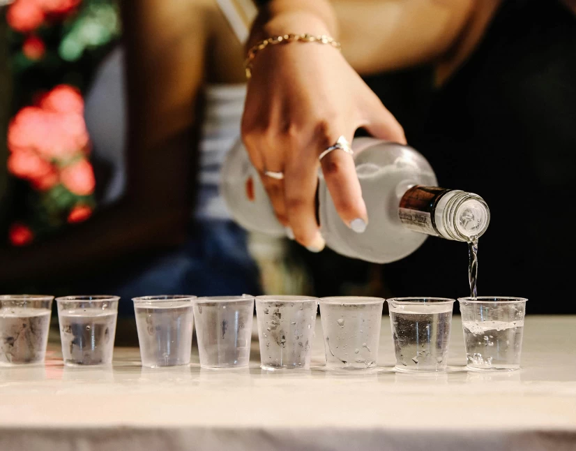 Vodka Belvedere: Sve što treba da znate o luksuznoj poljskoj vodki
