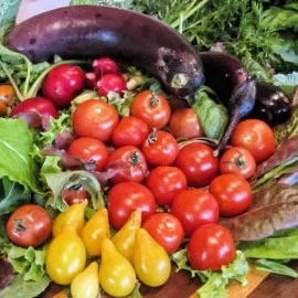 15 NAMIRNICA KOJE IMAJU MANJE OD 100 KALORIJA