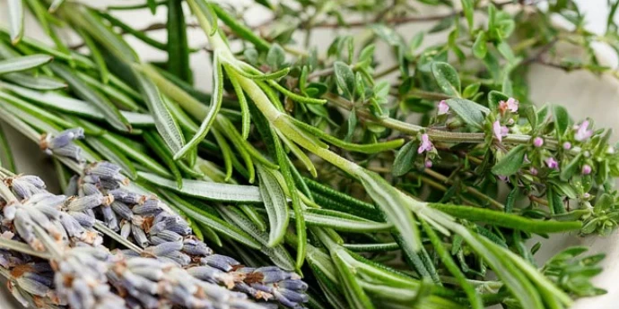 PET IZVANREDNIH ZAČINSKIH BILJAKA