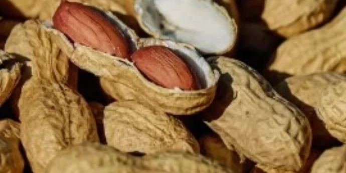 ZAŠTO TREBA JESTI KIKIRIKI