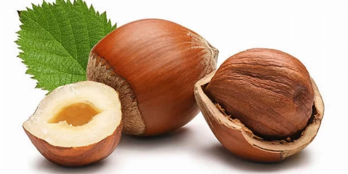 ZDRAVSTVENE KORISTI OD LEŠNIKA