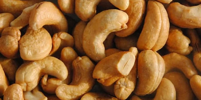 ZDRAVSTVENE KORISTI OD INDIJSKOG ORAHA