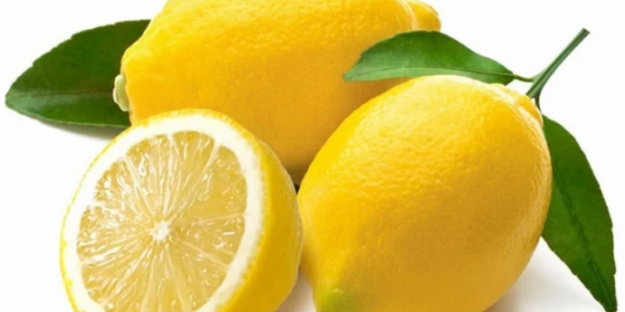 KORISTI PO ZDRAVLJE OD LIMUNA