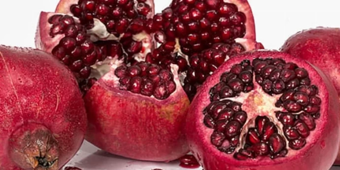 KORISTI PO ZDRAVLJE OD NARA