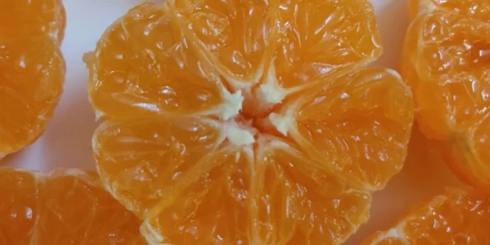 KORISTI PO ZDRAVLJE OD POMORANDŽI