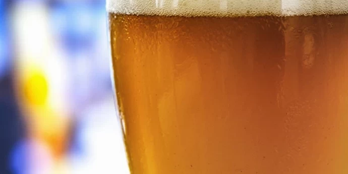 ŠTA JE RADLER?