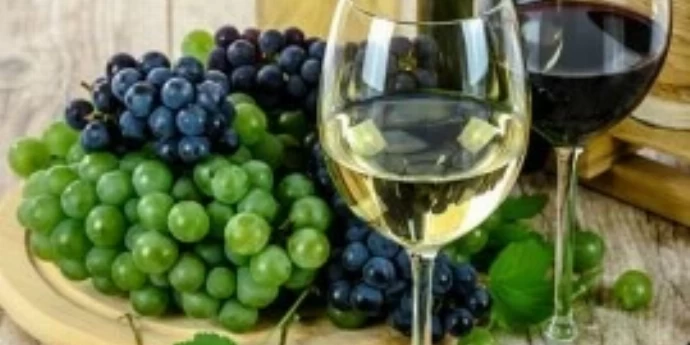 VINA IZ ČILEA