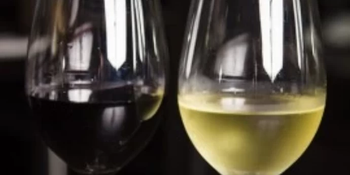 ZANIMLJIVOSTI O VINU