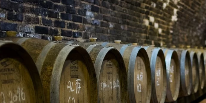 VINSKE REGIJE I VINARIJE U MAKEDONIJI 