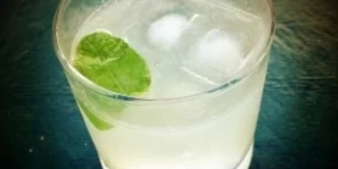 SAZNAJTE VIŠE O DŽINU