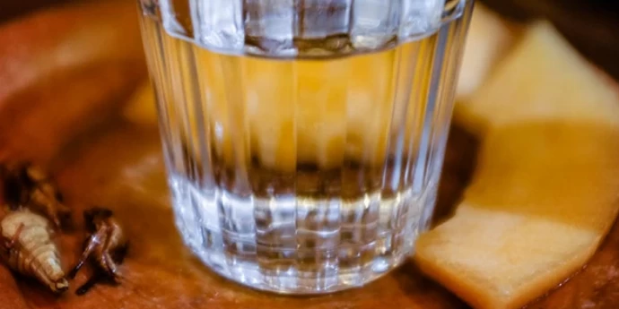 MESKAL (MEZCAL)