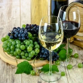 ČILEANSKA VINA