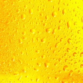 KOJE VRSTE PIVA POSTOJE?