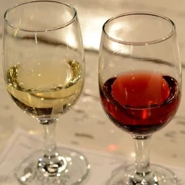 NAUKA IZA TANINA U VINU