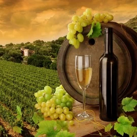NE POSTOJI SAVRŠENO VINO