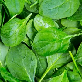SAZNAJTE SVE O VITAMINU K
