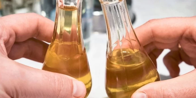 Dunjevača – Sve što treba da znate o kraljici voćnih rakija