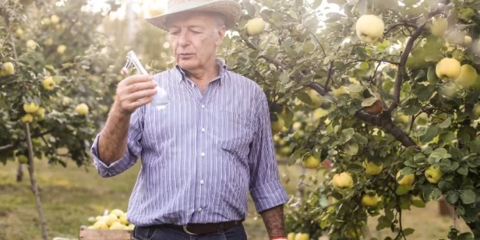 Dunjevača rakija – cena, kvalitet i gde kupiti online