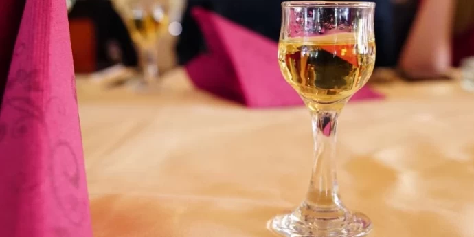 Najbolje dunjevače u Srbiji – vodič za kupovinu 2025