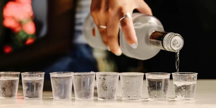 Vodka Belvedere: Sve što treba da znate o luksuznoj poljskoj vodki